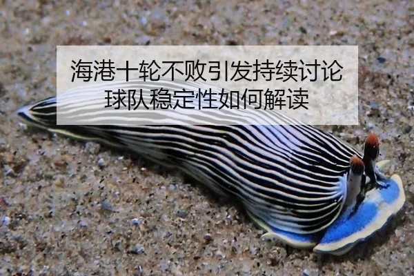 hai-gang-shi-lun-bu-bai-yin-fa-chi-xu-tao-lun-qiu-dui-wen-ding-xing-ru-he-jie-du-2-790.jpg